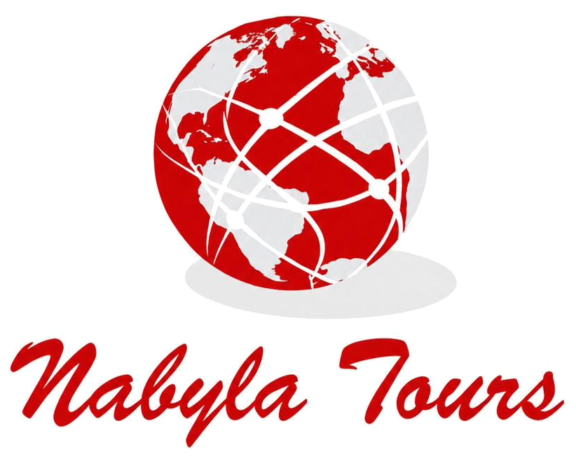 Logo de Nabyla Tours, globo rojo